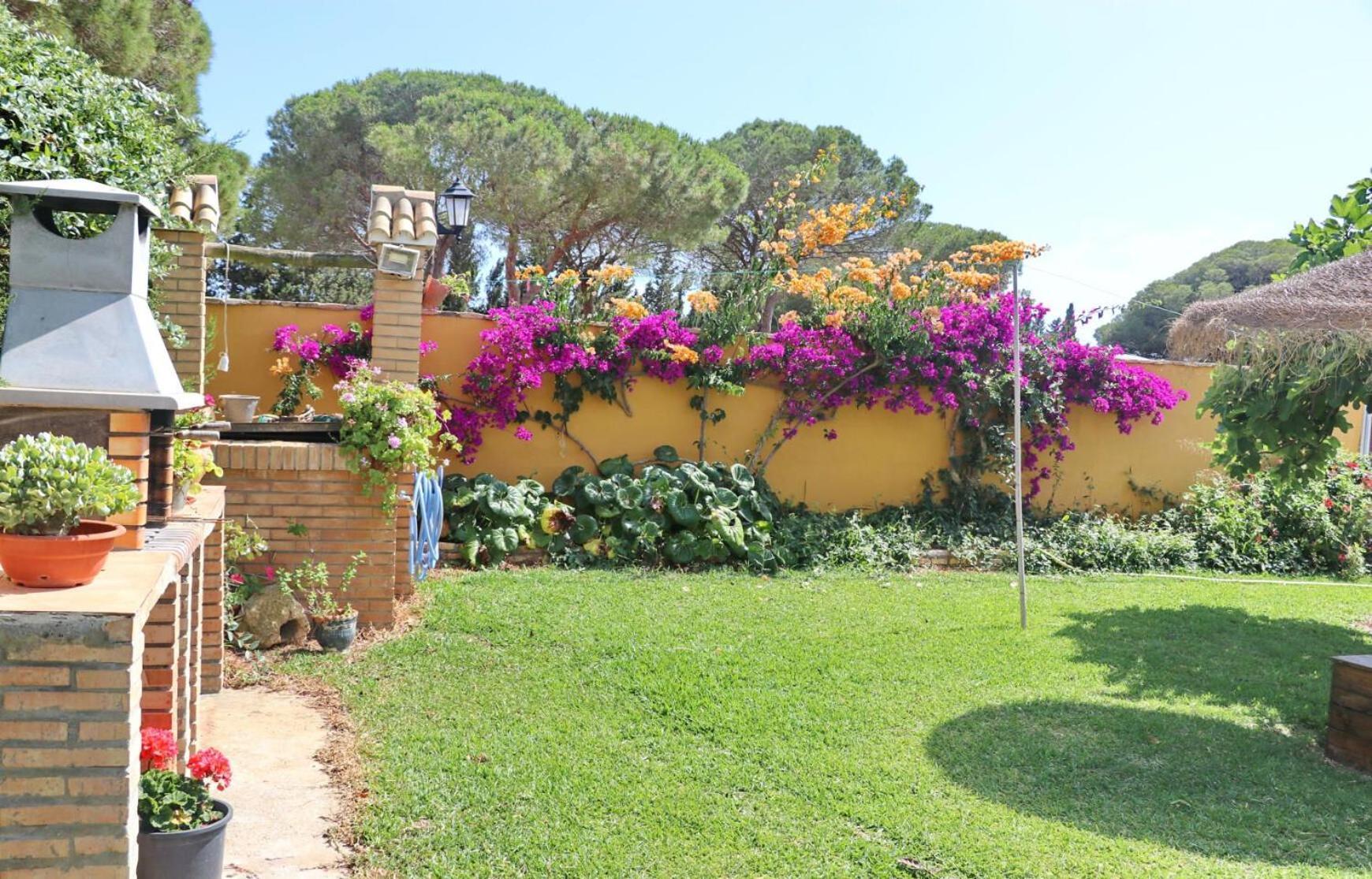 Chalet Pilahito Conil De La Frontera Exteriör bild